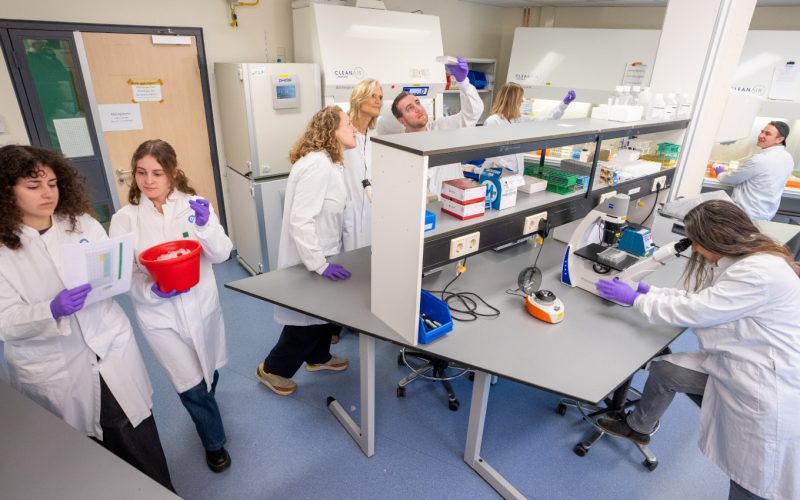 The Madelon Maurice group in the laboratory, developing a novel cancer therapy.