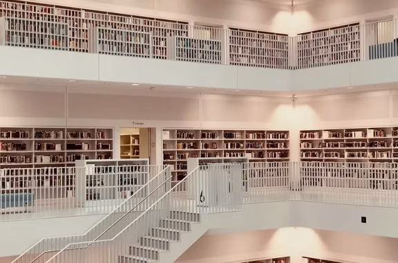 Image of a library symbolizing Publications Neuroimmunology of Pain