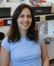 Sara Vieira Gonçalves