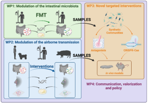 Visual representation of MISTAR workflow
