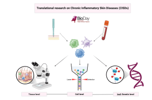 Chronic Inflammatory Skin Diseases CISDs Translational Research Overview