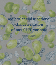 Thesis Juliet Lefferts