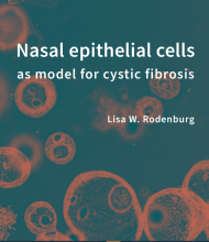 Thesis Lisa Rodenburg