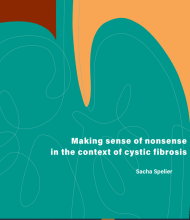 Thesis Sacha Spelier